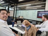 SEO Team Training
